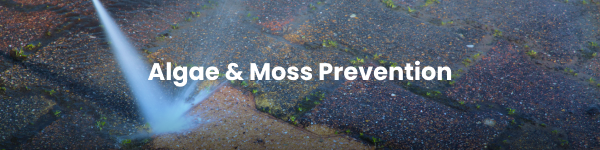 Algae & Moss Prevention