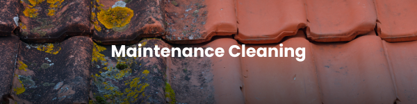 Maintenance Cleaning